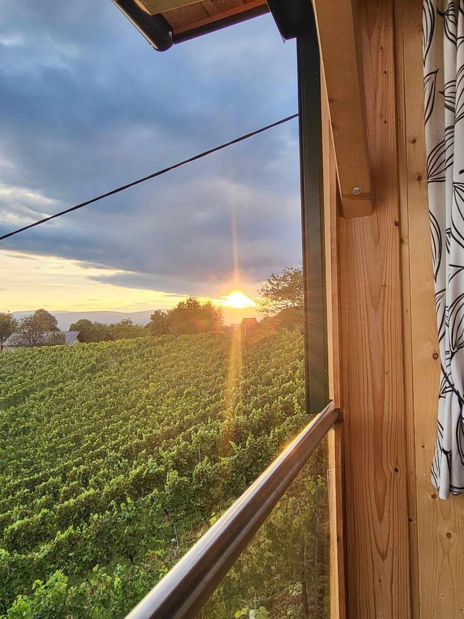 Ferienhaus Urschitz Eichberg エクステリア 写真